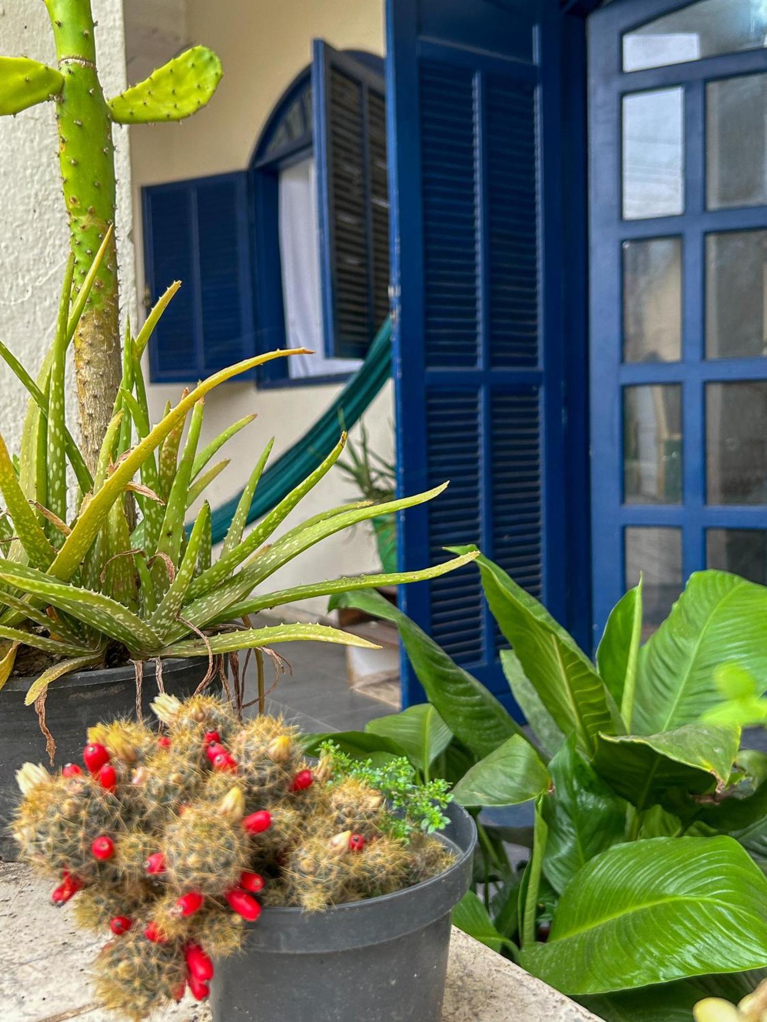 Casa Surya パラチ エクステリア 写真